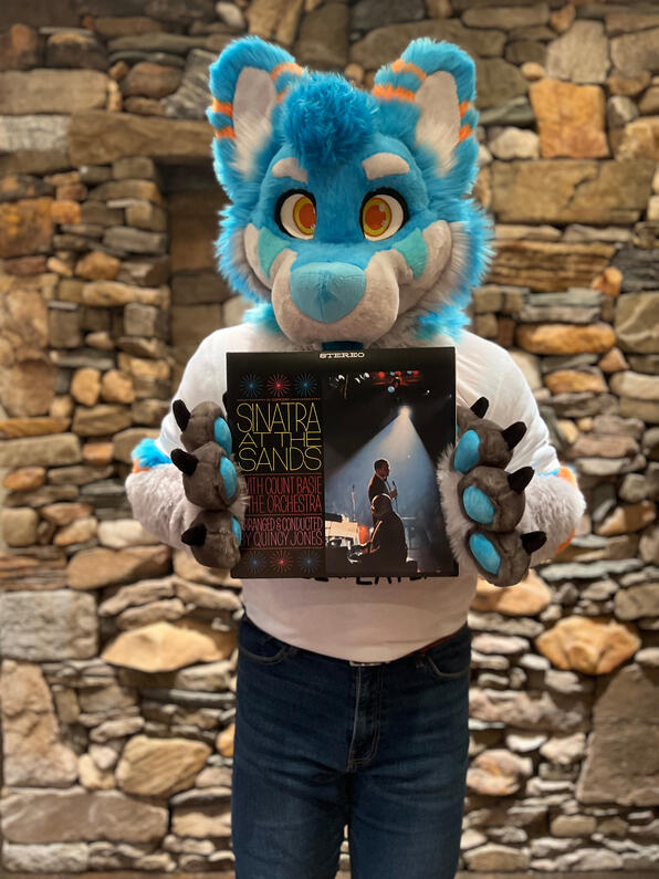 picture by: @Picton_Wolf (twitter)