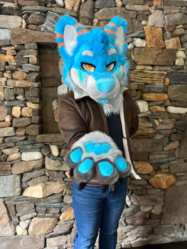 picture by: @Picton_Wolf (twitter)