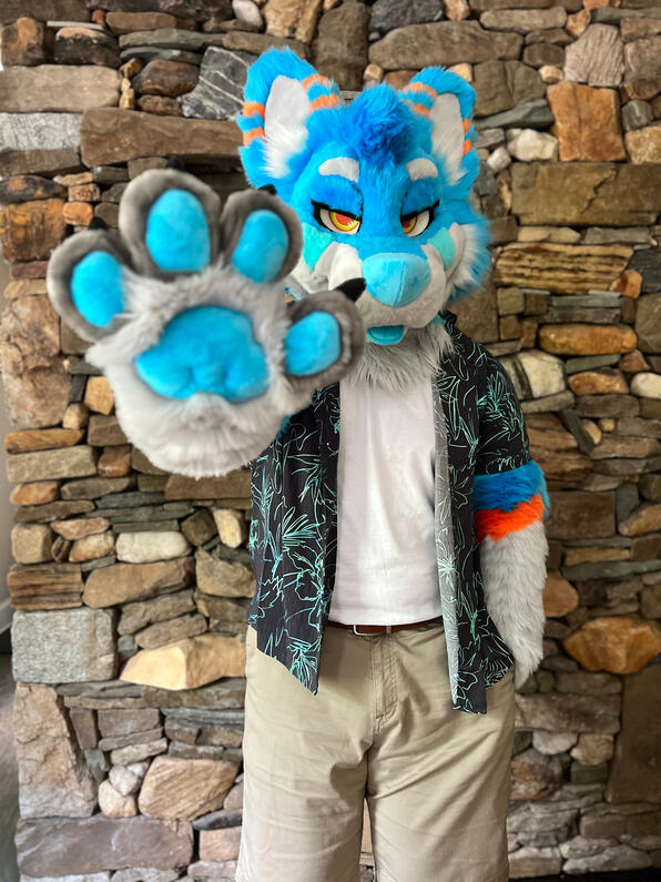 picture by: @Picton_Wolf (twitter)