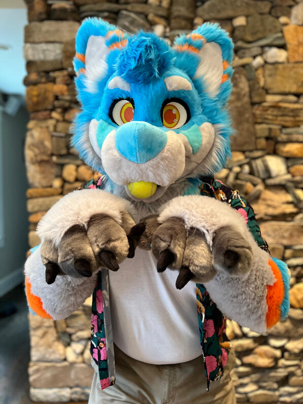 picture by: @Picton_Wolf (twitter)