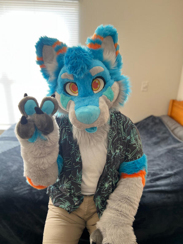 picture by: @Picton_Wolf (twitter)