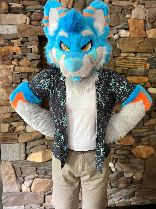 picture by: @Picton_Wolf (twitter)