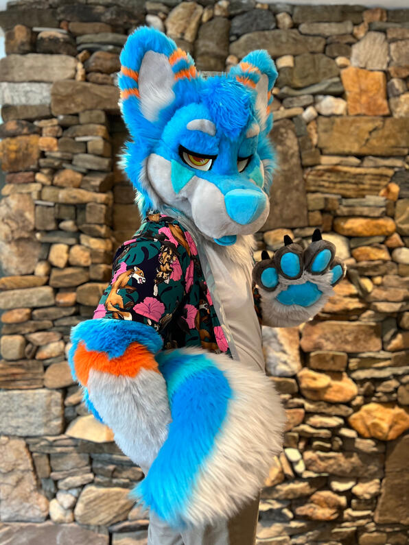 picture by: @Picton_Wolf (twitter)