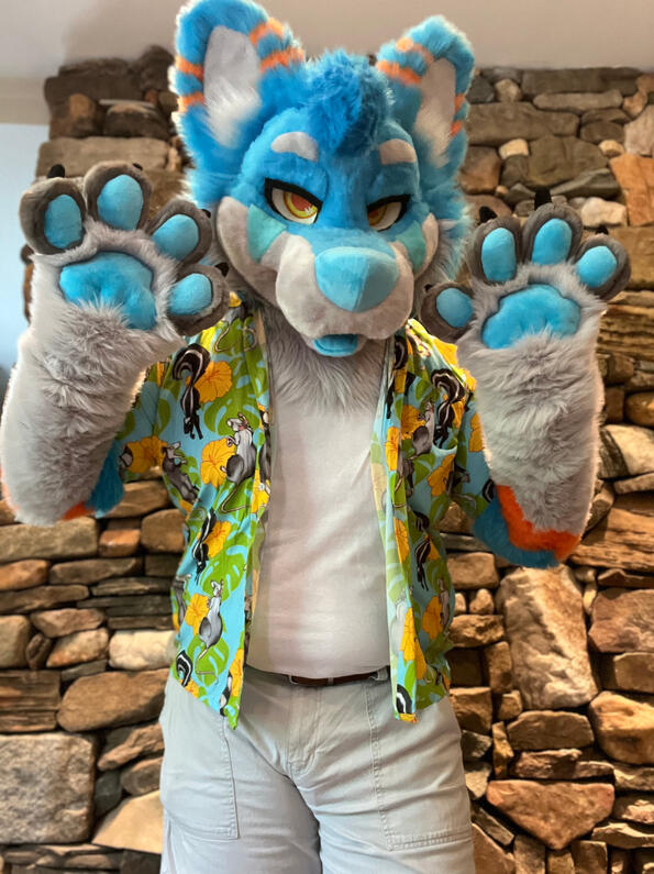 picture by: @Picton_Wolf (twitter)