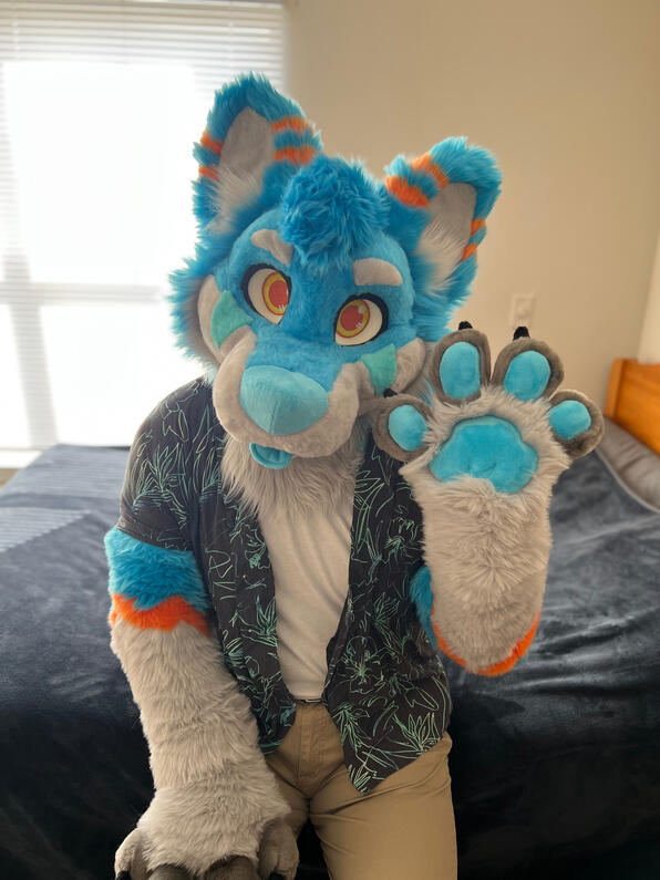 picture by: @Picton_Wolf (twitter)