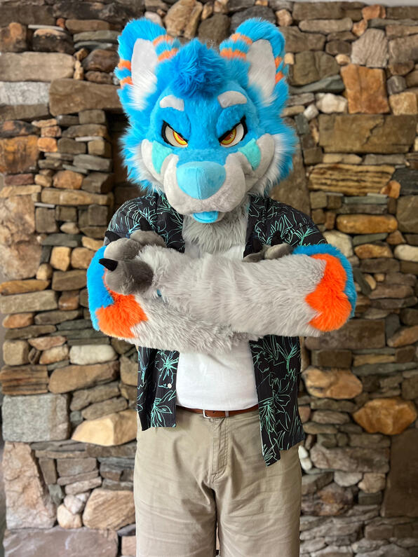 picture by: @Picton_Wolf (twitter)