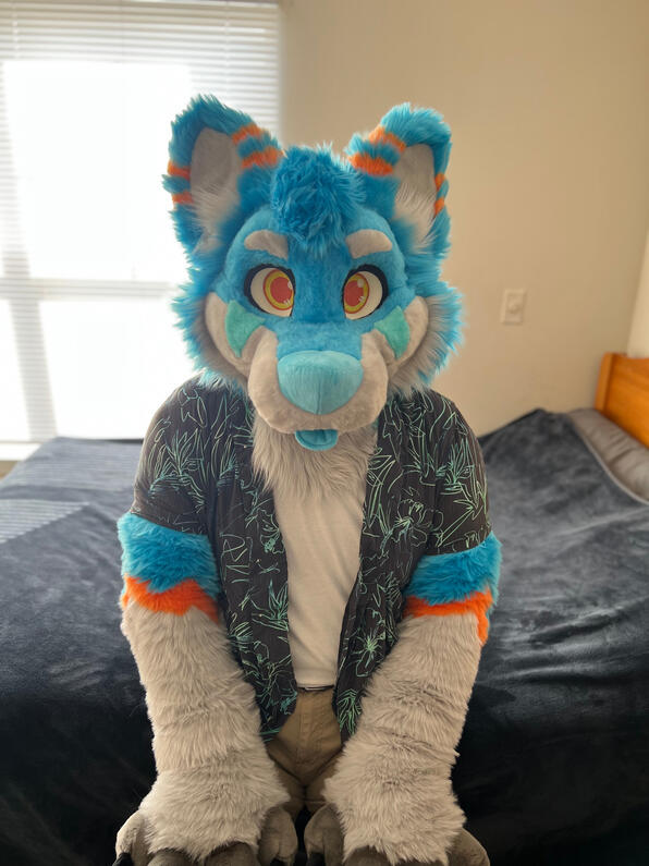 picture by: @Picton_Wolf (twitter)