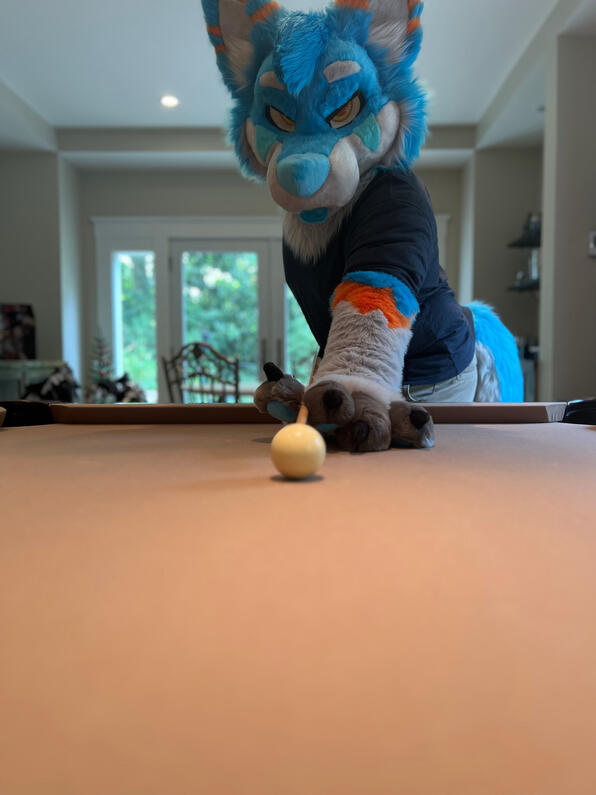 picture by: @Picton_Wolf (twitter)