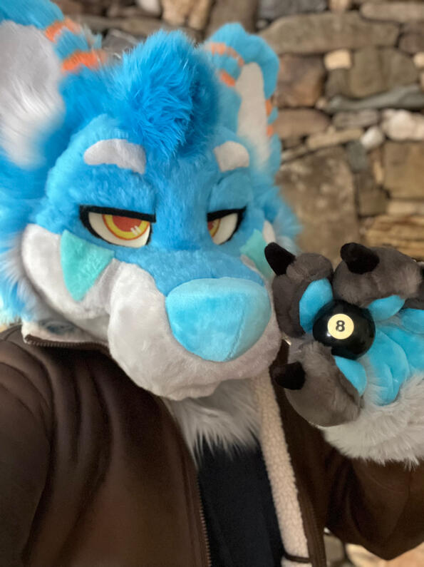 picture by: @Picton_Wolf (twitter)